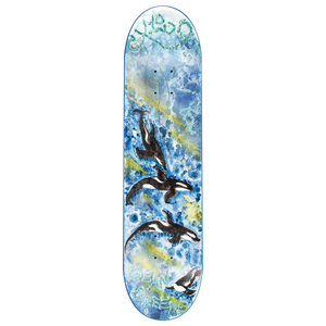 GX1000 Killer Whales Greene Deck - Assorted