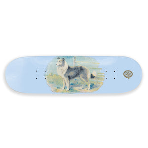 Pass~Port Hybrid Vigour (Collie) Deck - Assorted