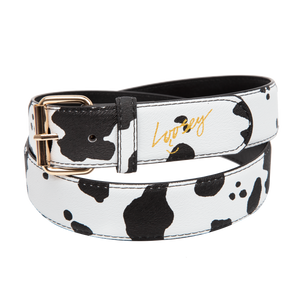 Loosey - Cow Belt