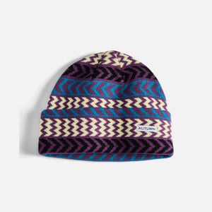 Autumn Chevron Beanie