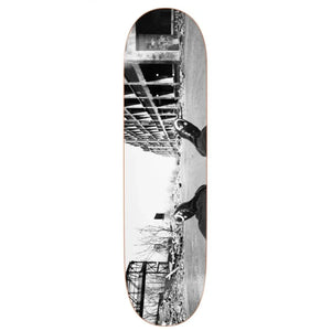 Polar Happy Sad Detroit Deck - 8.25